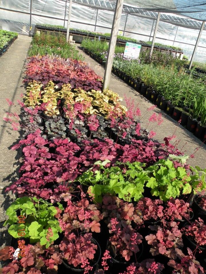 Osterbrock Greenhouse & Florist, 4848 Gray Rd, Cincinnati, OH MapQuest