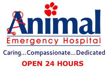 Animal Emergency Hospital