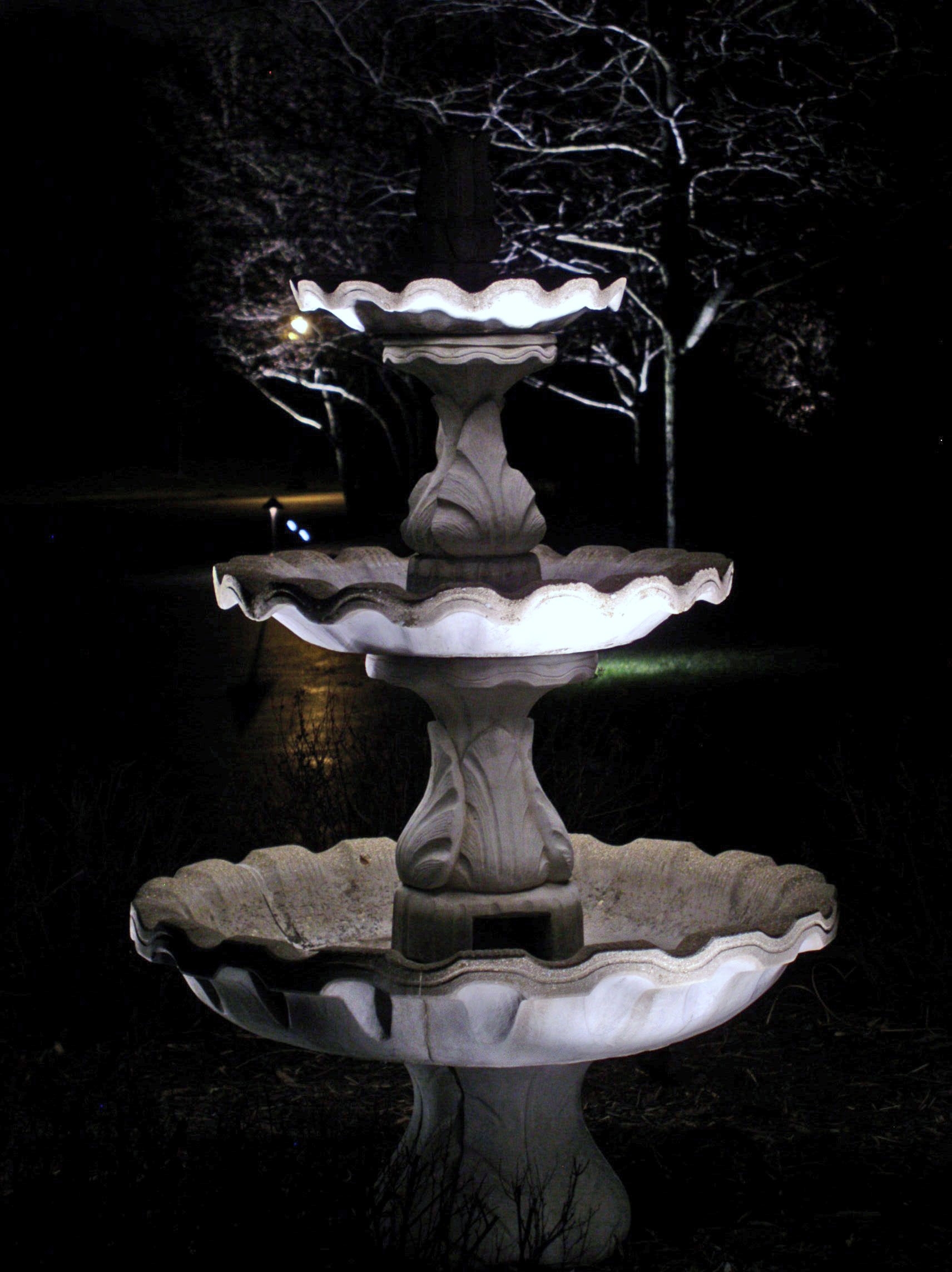 The Illuminators Outdoor Lighting Photo