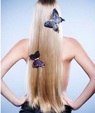 Diana Pagan Hair Designs Salon Diana Pagan Hair Designs Salon