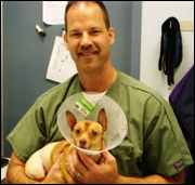 Aldie Veterinary Hospital - Chantilly, VA