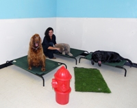 Pinnacle Pet Services Photo