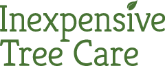 Inexpensive Tree Care