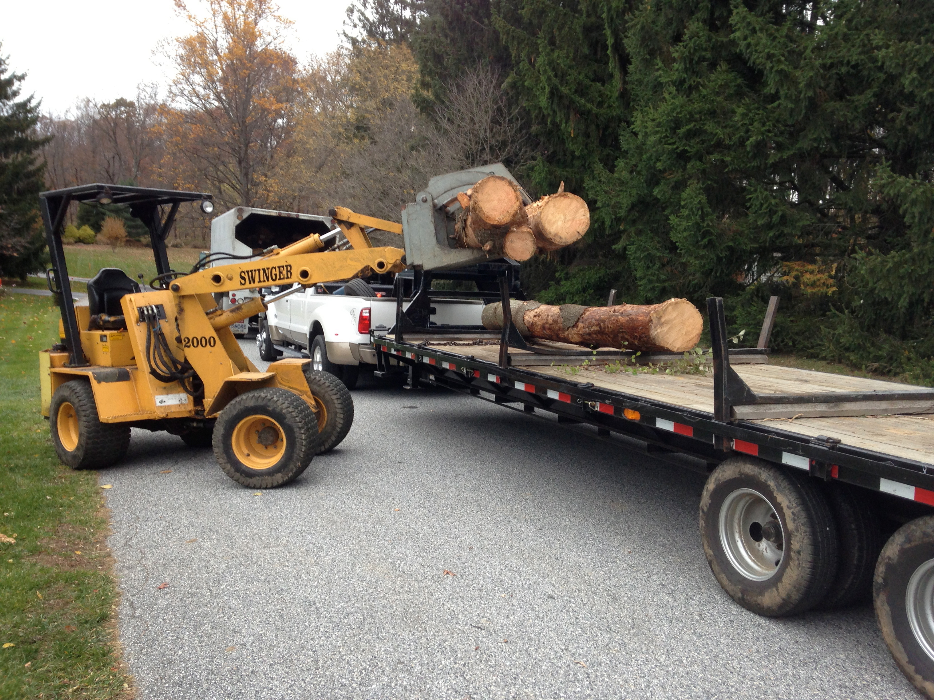 A Busy Beaver Tree Service Photo