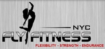 Fly Fitness NYC