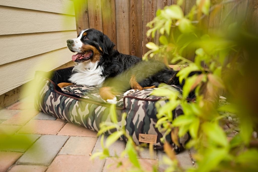 Camouflage Lounge Bed