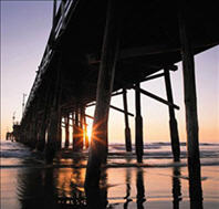 Marine Lumber & Piling LLC Photo