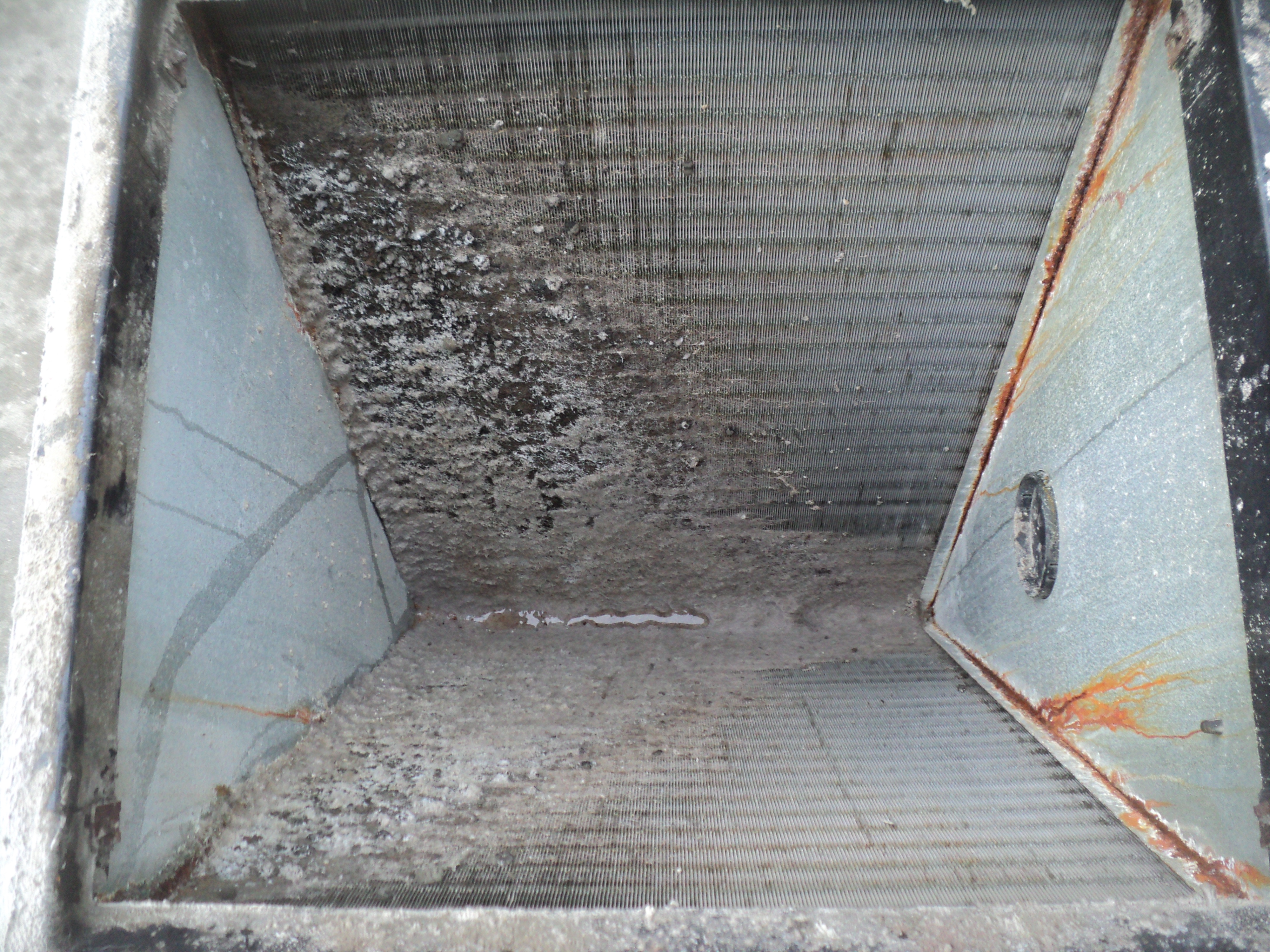 Ductz Of Greater Orlando Photo