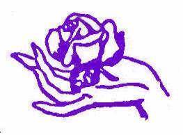Amazing Massage Services