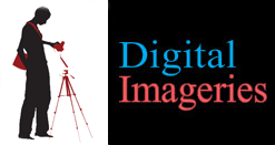Digital Imageries LLC - Loon Lake, WA