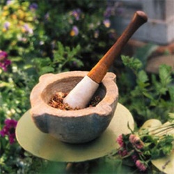 Naturally Balanced Holistic Healthcare Photo