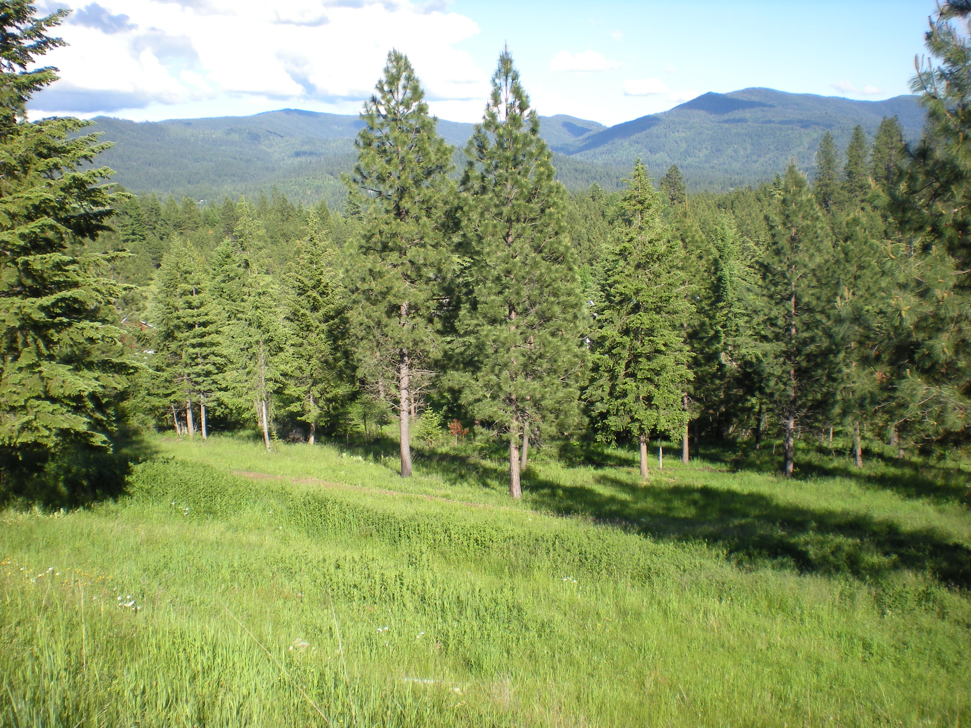 Mountain Air Resort - Hayden, ID