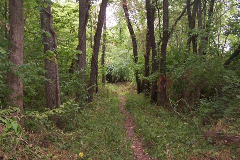 BrighterDaze Farm Image