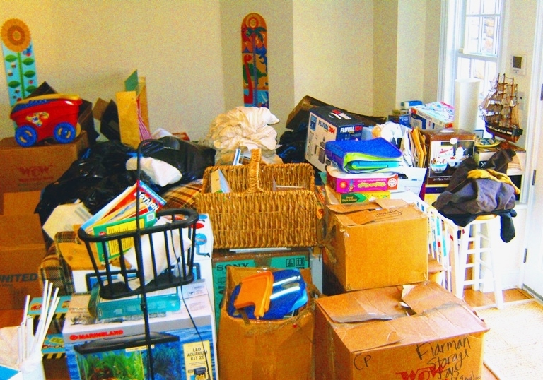 The Junk Recycler Photo