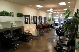 Hair By Sandra-Innovation A Salon - Culver City, CA
