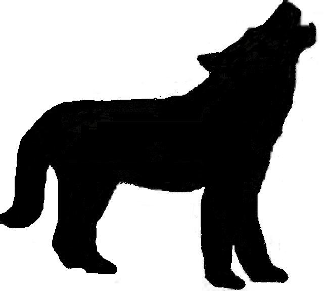 Wolf's Pet Sitting & Services, LLC