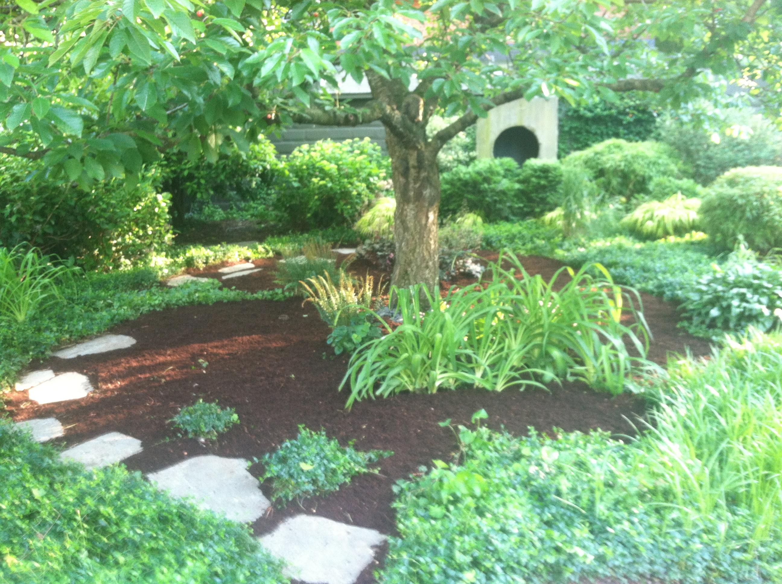 Top Seed Landscape Top Seed Landscape