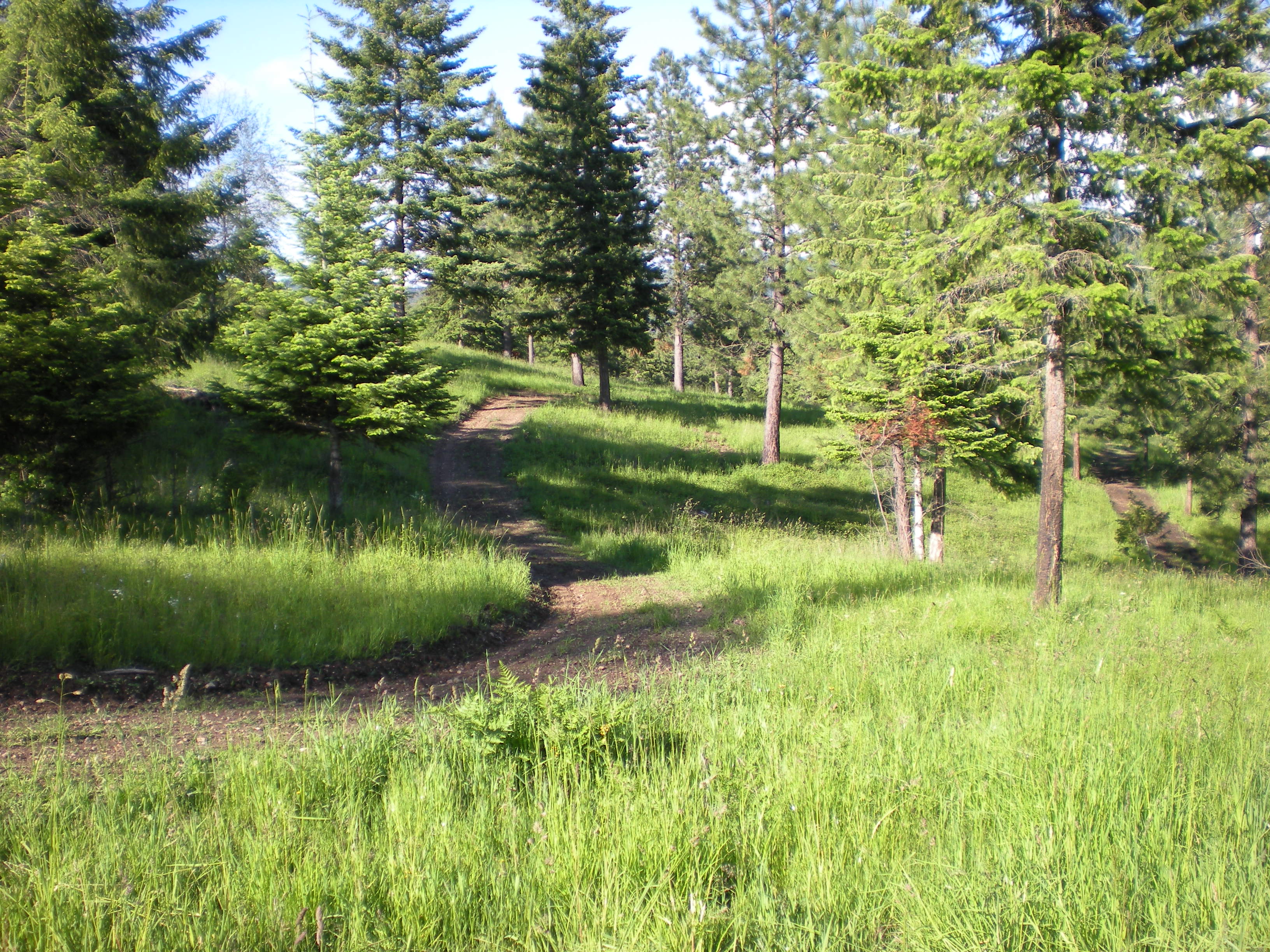 Mountain Air Resort - Hayden, ID