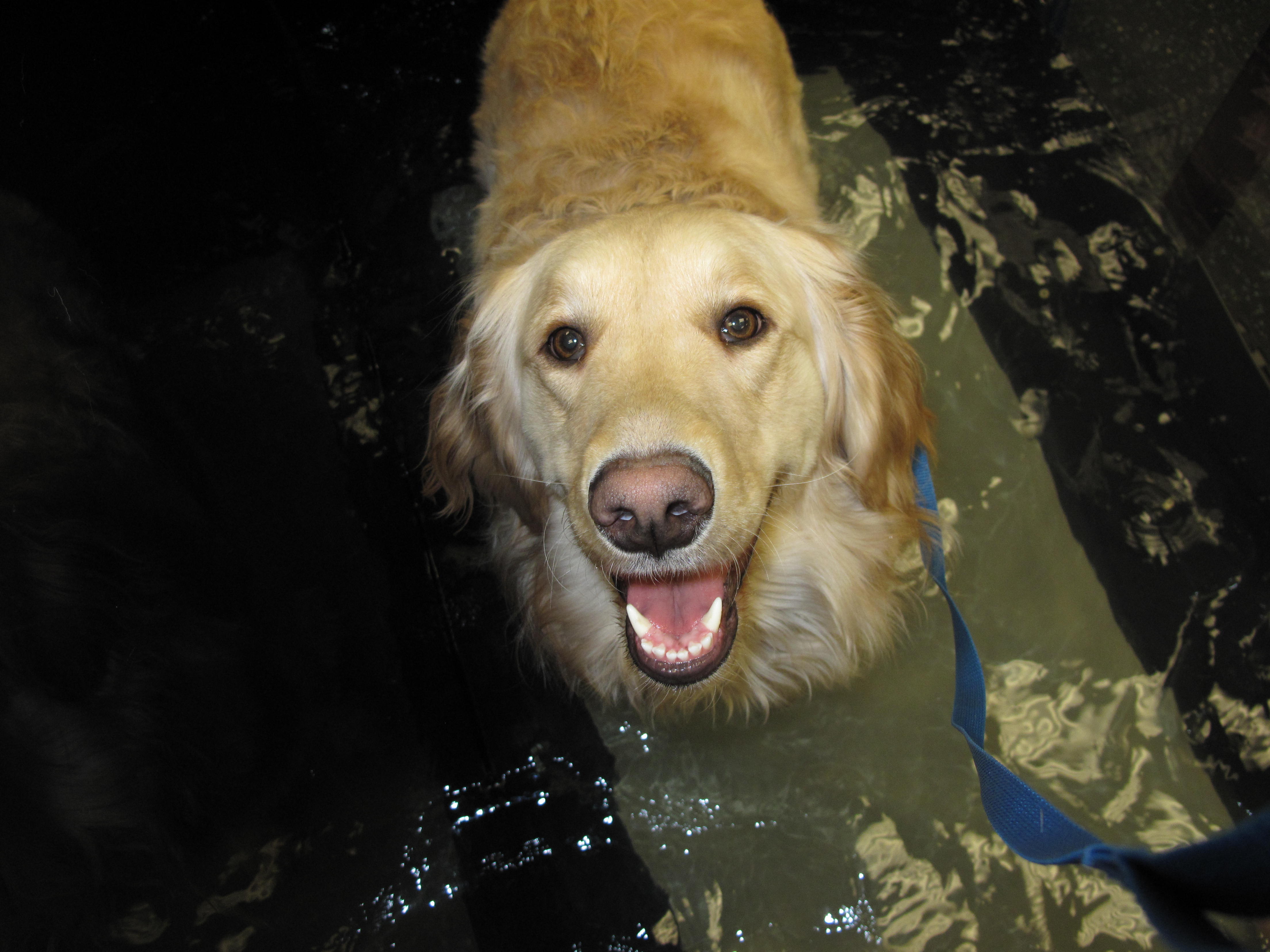 Massachusetts Veterinary Referral Hospital Photo