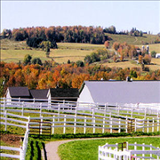 Images Canterbury Stables