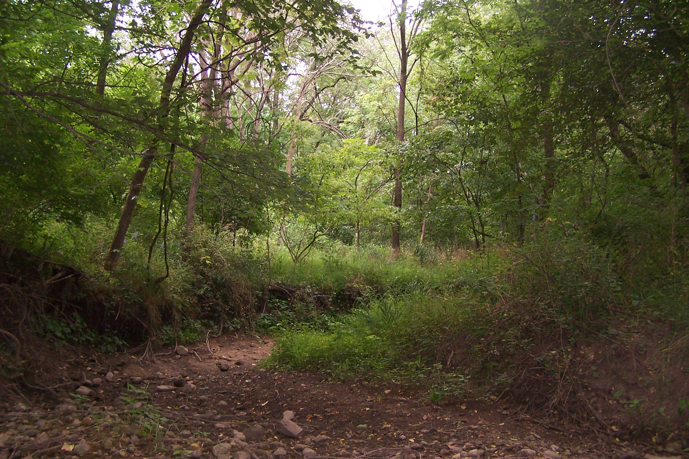 BrighterDaze Farm Image