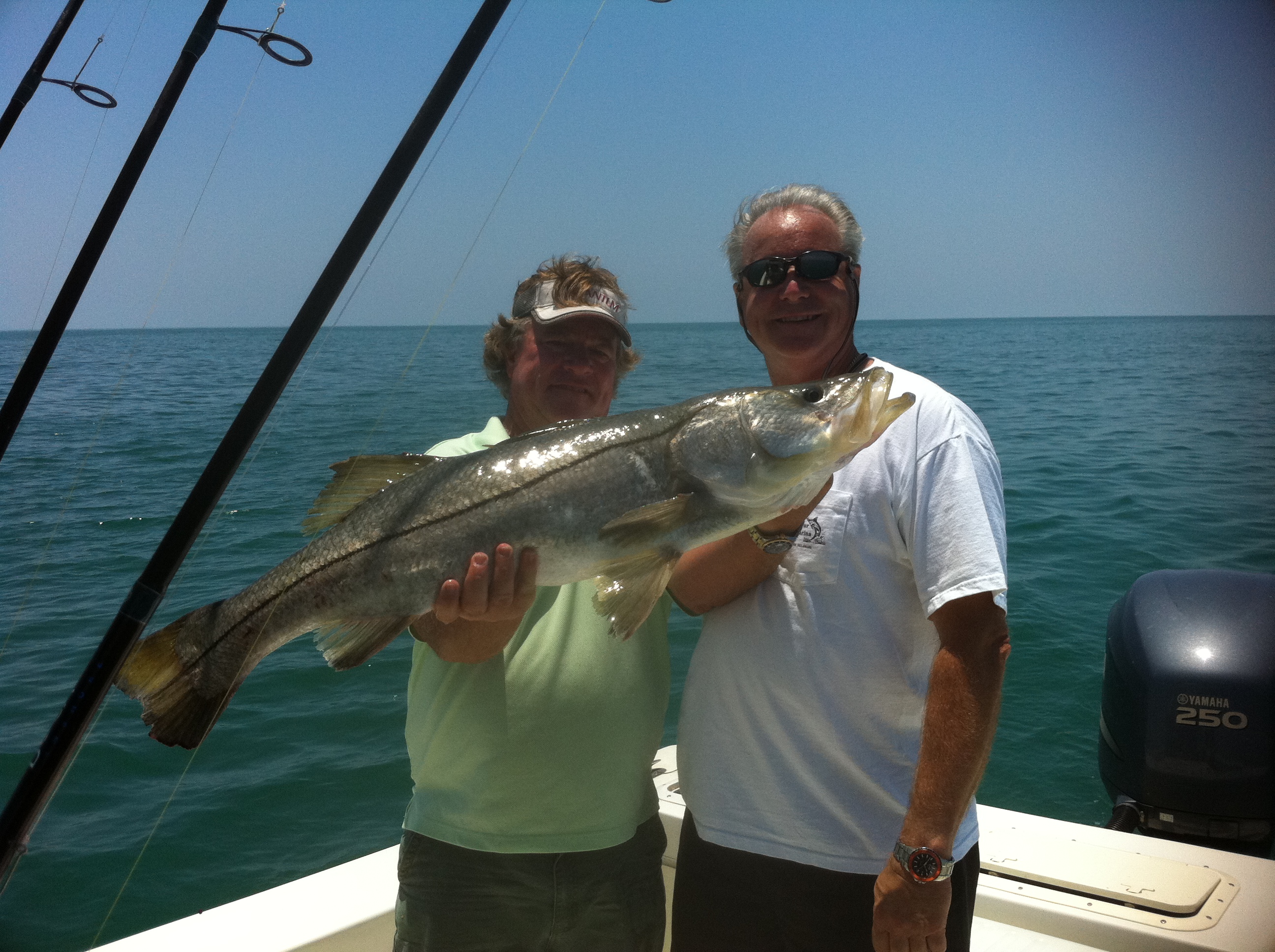 Ms. B. Haven Fishing & Eco Charters - classified ad