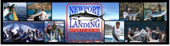 Newport Landing