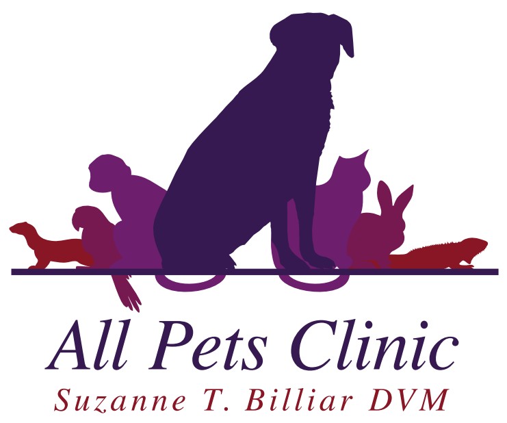 All About Dogs And Cats Ocala Fl All About Dogs And Cats Ocala Fl