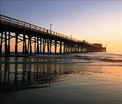 Marine Lumber & Piling LLC Photo