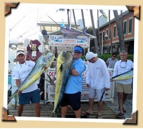 Sea Cross Deep Sea Fishing Miami Photo