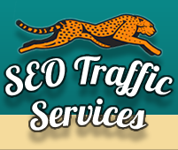 SEO Traffic Services - Mason, MI