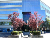 Gregory S. Genetti, CPA Photo