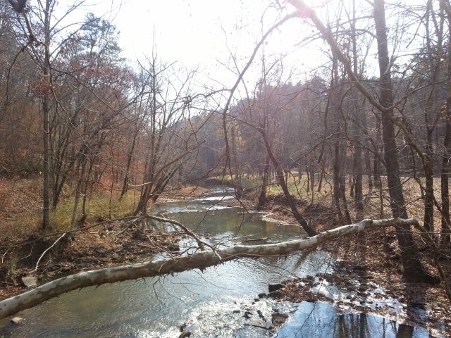 Lake Homes Realty Image