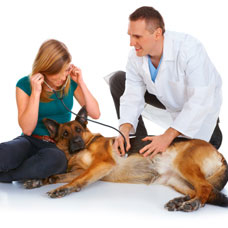 Brooklyn Cares Veterinary Clinic - Brooklyn, NY
