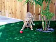 Go Turf Direct - Oceanside, CA