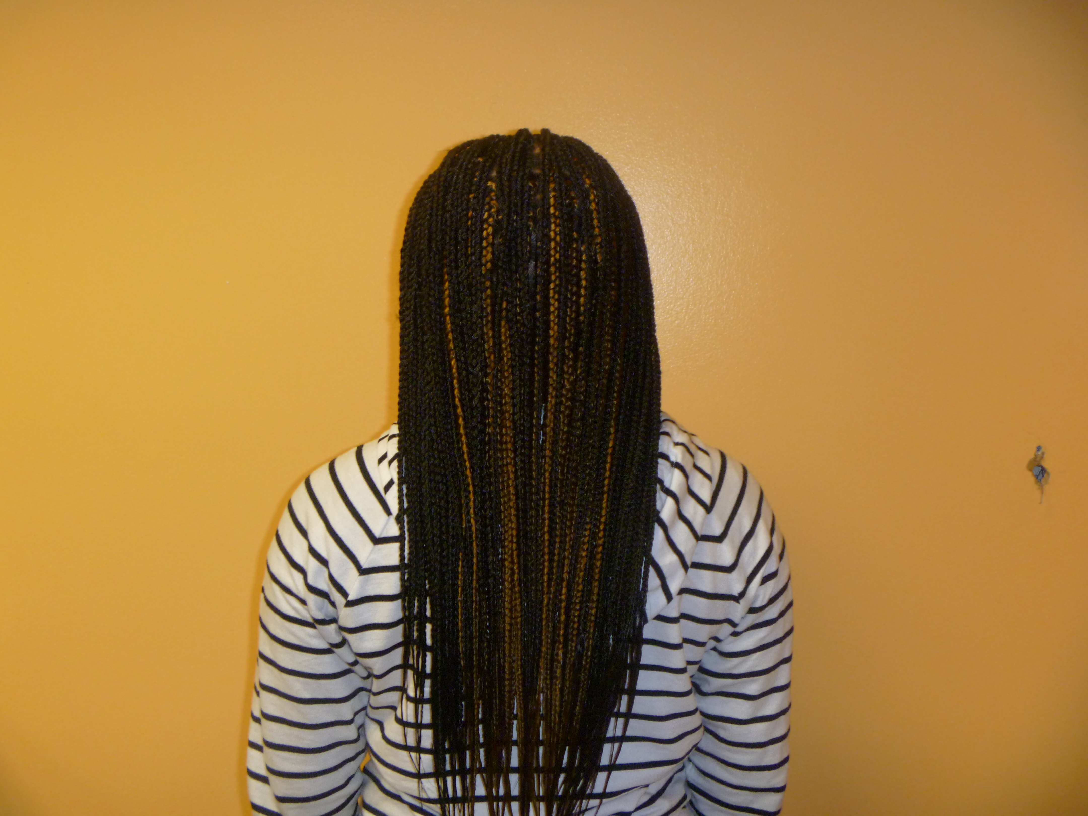 No 1 Hair Braiding Photo