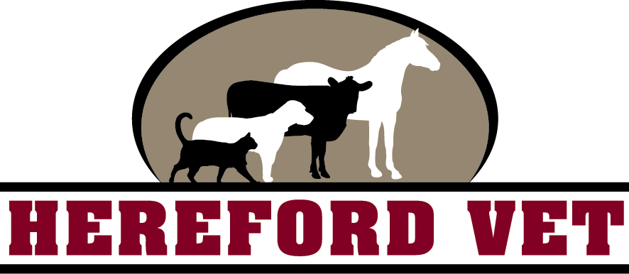 Hereford Veterinary Clinic - classified ad