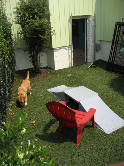 Chapel Hill Pet Resort Photo