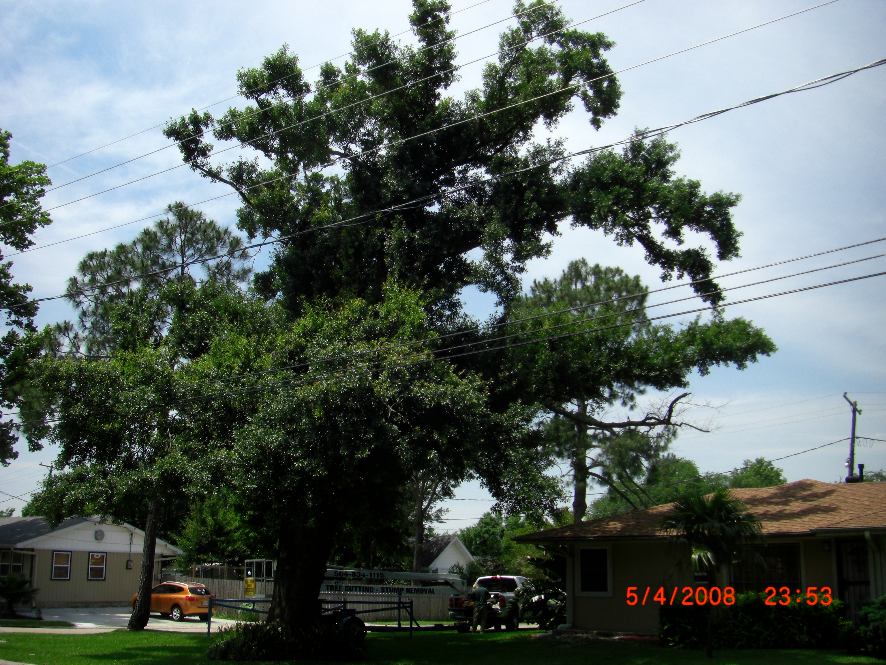GE Tree Service Inc - Manitou Springs, CO