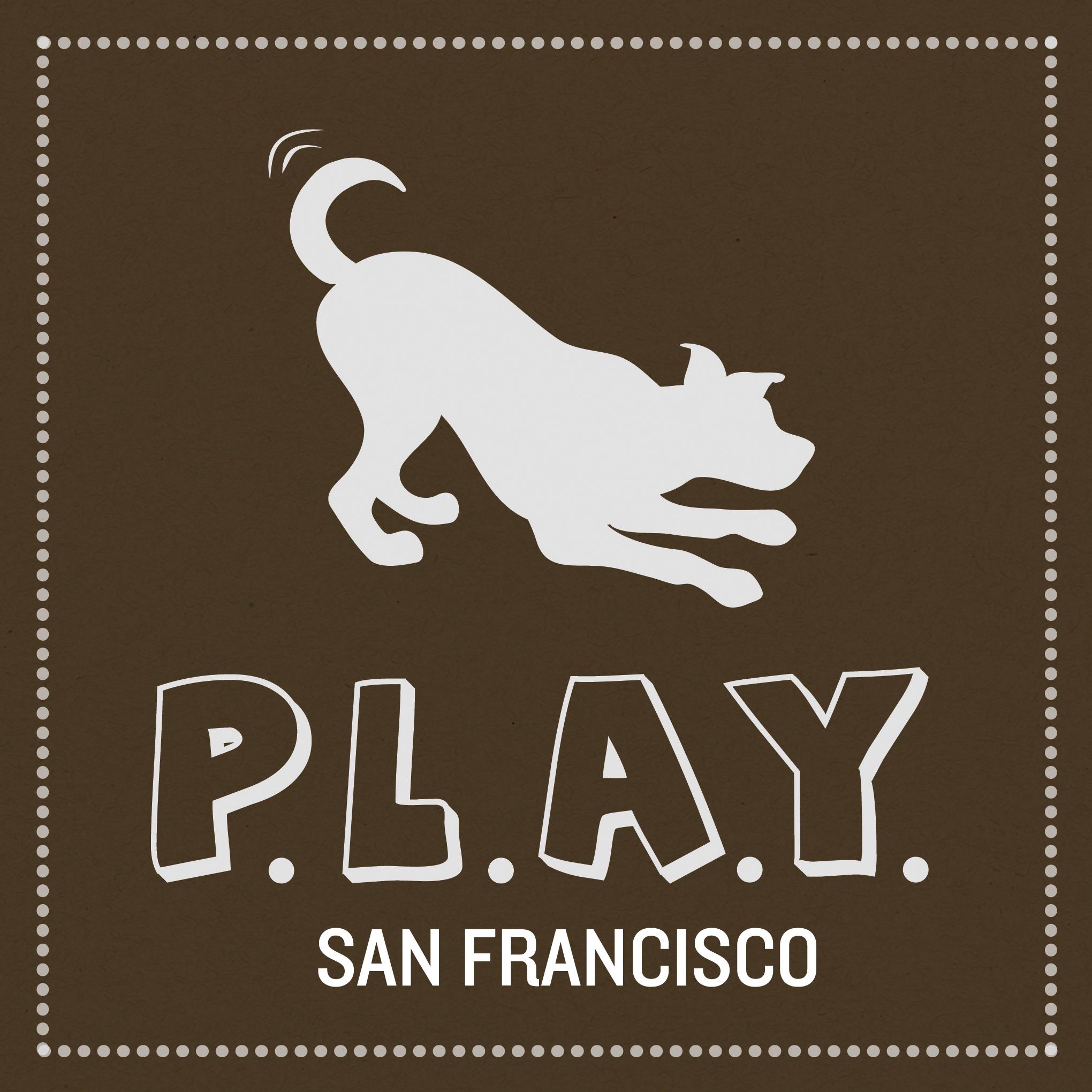 P.L.A.Y. PET LIFESTYLE AND YOU INC