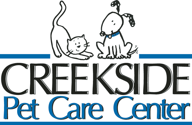 Hollywood Dog Grooming Keller Tx Hollywood Dog Grooming Keller Tx