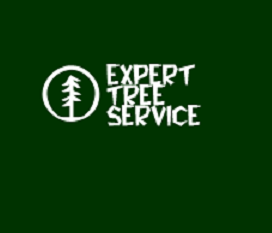 Expert Tree Service Photo
