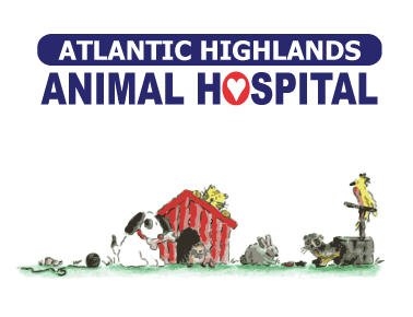 Atlantic Highlands Animal Hospital