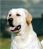 Mill Creek Animal Hospital Photo