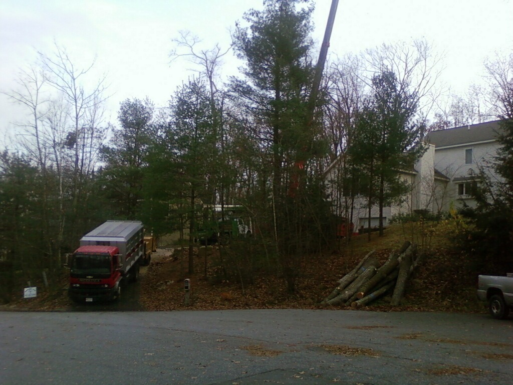 Middlesex Tree Service - Woburn, MA