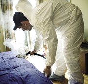 Exterminating Bed bugs in NY