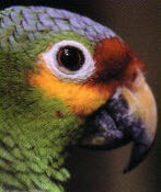 Northside Animal Hospital Photo