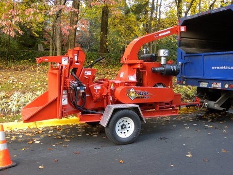 Branch Tree Experts Photo