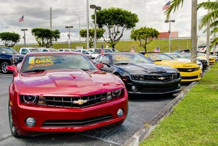 Miami Lakes Automall Photo