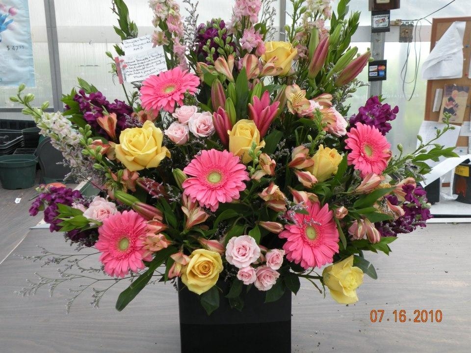 Osterbrock Greenhouse & Florist, 4848 Gray Rd, Cincinnati, OH MapQuest